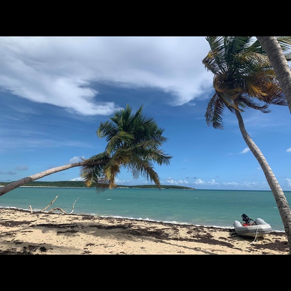 Meet your Posher, Sarah - Picture 1 of 1